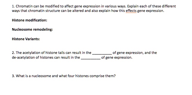 1. Chromatin can be modified to affect gene expression in various ways. Explain each of these different
ways that chromatin structure can be altered and also explain how this effects gene expression.
Histone modification:
Nucleosome remodeling:
Histone Variants:
2. The acetylation of histone tails can result in the  of gene expression, and the
de-acetylation of histones can result in the  of gene expression.
3. What is a nucleosome and what four histones comprise them?