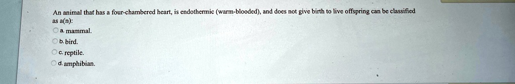 An animal that has a four-chambered heart, is endothermic (warm-blooded), and does not give birth to live offspring can be classified as a(n):
a. mammal.
b. bird.
c. reptile.
d. amphibian.