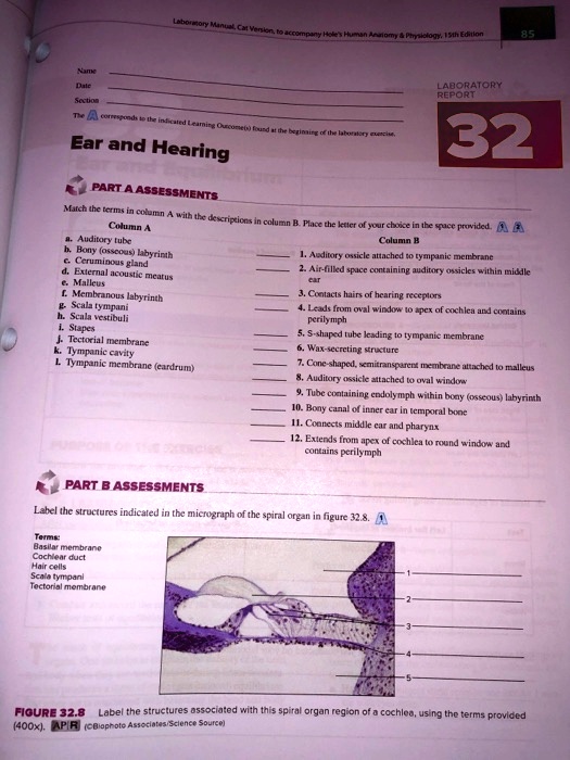 SOLVED LABORATORY REPORT 32 Ear and Hearing PART A ASSESSMENTS Column