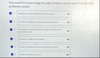 how would the nurse arrange the order of steps in normal wound healing in the proliferative phase 1 migration of mitotic fibroblast cells into the wound 2 formation of capillaries in areas s 54907