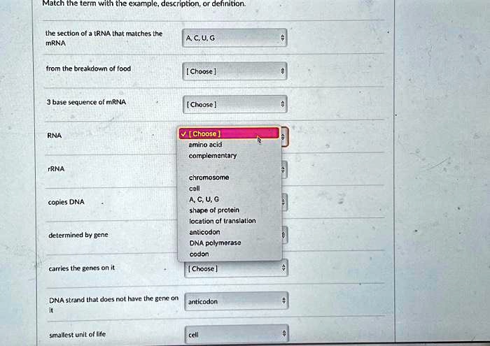 Match the term with the example, description, or definition.
the section of a tRNA that matches the
mRNA
A, C, U, G
from the breakdown of food
3 base sequence of mRNA
RNA
TRNA
copies DNA
determined by gene
carries the genes on it
DNA strand that does not have the gene on
it
smallest unit of life
[Choose]
[Choose]
? [Choose]
amino acid
complementary
chromosome
cell
A, C, U, G
shape of protein
location of translation
anticodon
DNA polymerase
codon
[Choose]
anticodon
cell