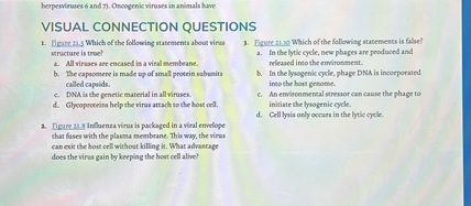 VISUAL CONNECTION QUESTIONS
1. Figure 21.5 Which of the following statements about virus structure is true?
a. All viruses are encased in a viral membrane.
b. The capsomere is made up of small protein subunits called capsids.
c. DNA is the genetic material in all viruses.
d. Glycoproteins help the virus attach to the host cell.
2. Figure 21.8 Influenza virus is packaged in a viral envelope that fuses with the plasma membrane. This way, the virus can exit the host cell without killing it. What advantage does the virus gain by keeping the host cell alive?
3. Figure 21.10 Which of the following statements is false?
a. In the lytic cycle, new phages are produced and released into the environment.
b. In the lysogenic cycle, phage DNA is incorporated into the host genome.
c. An environmental stressor can cause the phage to initiate the lysogenic cycle.
d. Cell lysis only occurs in the lytic cycle.