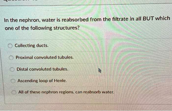 In the nephron, water is reabsorbed from the filtrate in all BUT which one of the following structures?
Collecting ducts.
Proximal convoluted tubules.
Distal convoluted tubules.
Ascending loop of Henle.
All of these nephron regions, can reabsorb water.