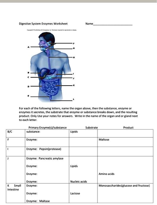 SOLVED Texts Digestive System Enzymes Worksheet Name For each of the following letters, name