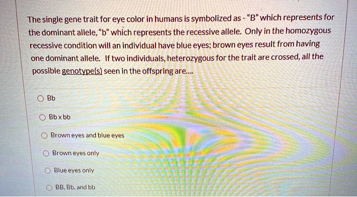 The single gene trait for eye color in humans is symbolized as - "B" which represents for the dominant allele, "b" which represents the recessive allele. Only in the homozygous recessive condition will an individual have blue eyes; brown eyes result from having one dominant allele. If two individuals, heterozygous for the trait are crossed, all the possible genotype(s) seen in the offspring are....

Bb
Bb x bb
Brown eyes and blue eyes
Brown eyes only
Blue eyes only
BB, Bb, and bb