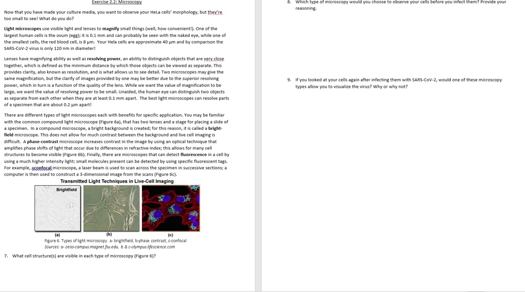 Exercise 2.2: Microscopy
Now that you have made your culture media, you want to observe your HeLa cells' morphology, but they're too small to see! What do you do?
Light microscopes use visible light and lenses to magnify small things (well, how convenient!). One of the largest human cells is the ovum (egg); it is 0.1 mm and can probably be seen with the naked eye, while one of the smallest cells, the red blood cell, is 8 µm. Your HeLa cells are approximate 40 µm and by comparison the SARS-CoV-2 virus is only 120 nm in diameter!
Lenses have magnifying ability as well as resolving power, an ability to distinguish objects that are very close together, which is defined as the minimum distance by which those objects can be viewed as separate. This provides clarity, also known as resolution, and is what allows us to see detail. Two microscopes may give the same magnification, but the clarity of images provided by one may be better due to the superior resolving power, which in turn is a function of the quality of the lens. While we want the value of magnification to be large, we want the value of resolving power to be small. Unaided, the human eye can distinguish two objects as separate from each other when they are at least 0.1 mm apart. The best light microscopes can resolve parts of a specimen that are about 0.2 µm apart!
There are different types of light microscopes each with benefits for specific application. You may be familiar with the common compound light microscope (Figure 6a), that has two lenses and a stage for placing a slide of a specimen. In a compound microscope, a bright background is created; for this reason, it is called a bright-field microscope. This does not allow for much contrast between the background and live cell imaging is difficult. A phase-contrast microscope increases contrast in the image by using an optical technique that amplifies phase shifts of light that occur due to differences in refractive index; this allows for many cell structures to become visible (Figure 6b). Finally, there are microscopes that can detect fluorescence in a cell by using a much higher intensity light; small molecules present can be detected by using specific fluorescent tags. For example, a confocal microscope, a laser beam is used to scan across the specimen in successive sections; a computer is then used to construct a 3-dimensional image from the scans (Figure 6c).
Transmitted Light Techniques in Live-Cell Imaging
Brightfield
(a) (b) (c)
Figure 6. Types of light microscopy. a- brightfield, b-phase contrast, c-confocal
Sources: a- zeiss-campus.magnet.fsu.edu, b     c-olympus.lifescience.com
7. What cell structure(s) are visible in each type of microscopy (Figure 6)?
8. Which type of microscopy would you choose to observe your cells before you infect them? Provide your reasoning.
9. If you looked at your cells again after infecting them with SARS-CoV-2, would one of these microscopy types allow you to visualize the virus? Why or why not?