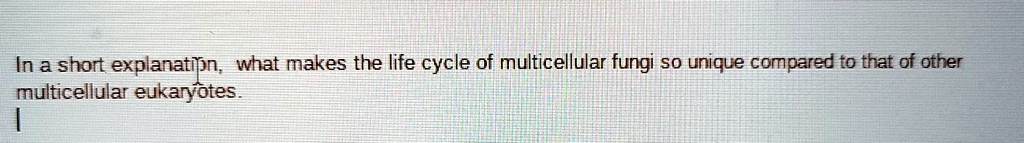 In a short explanation, what makes the life cycle of multicellular fungi so unique compared to that of other multicellular eukaryotes.