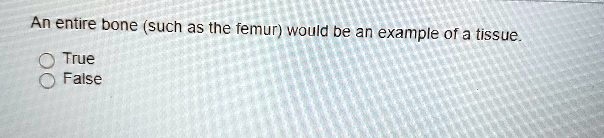 An entire bone (such as the femur) would be an example of a tissue.
True
False
