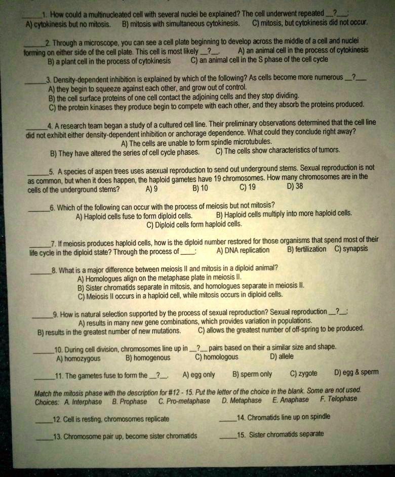 SOLVED: How could a multinucleated cell with several nuclei be