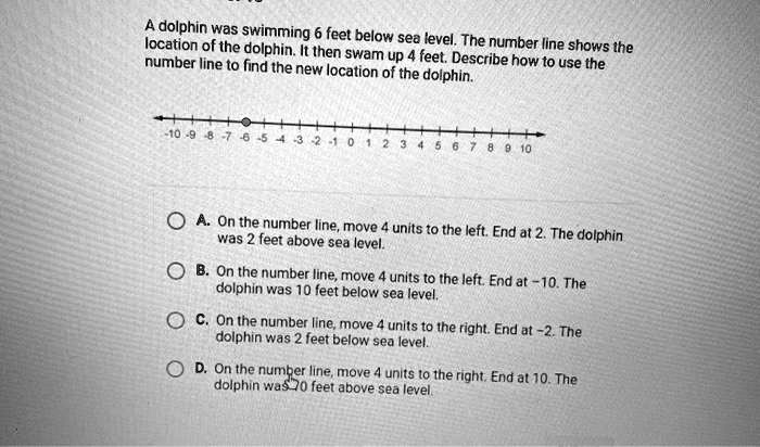 SOLVED: Adolphin was swimming 6 feet below location of the dolphin sea ...