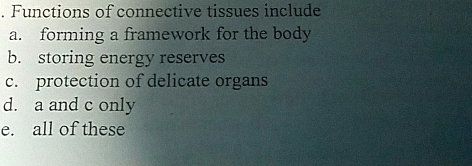 Functions of connective tissues include
a. forming a framework for the body
b. storing energy reserves
c. protection of delicate organs
d. a and c only
e. all of these