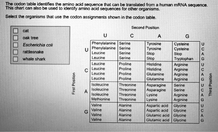 The codon table identifies the amino acid sequence that can be ...