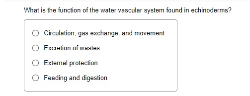 What is the function of the water vascular system found in echinoderms?
Circulation, gas exchange, and movement
Excretion of wastes
External protection
Feeding and digestion