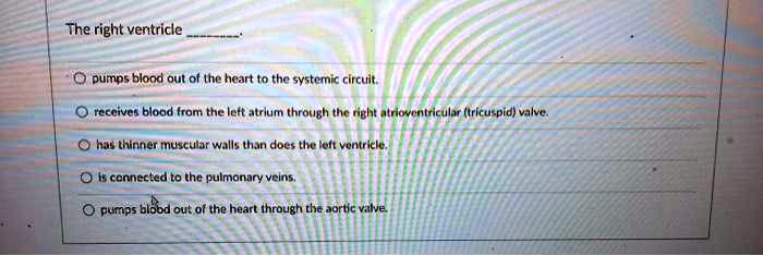 The right ventricle
pumps blood out of the heart to the systemic circuit.
receives blood from the left atrium through the right atrioventricular (tricuspid) valve.
has thinner muscular walls than does the left ventricle.
is connected to the pulmonary veins.
pumps blood out of the heart through the aortic valve.