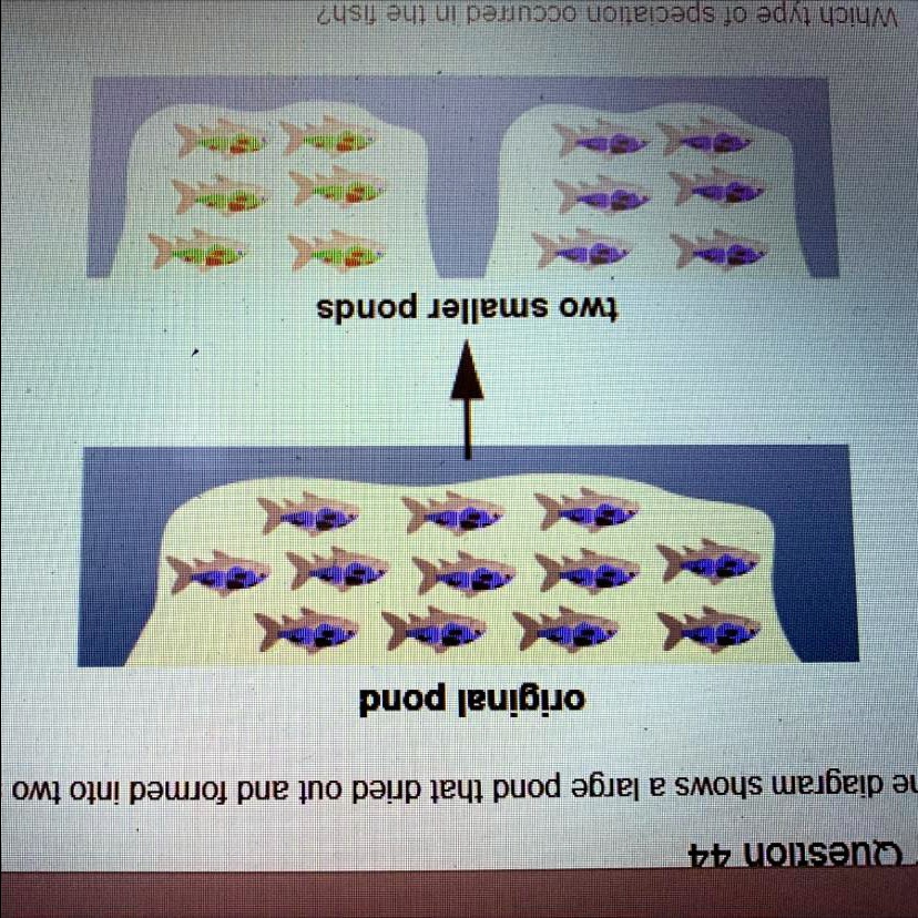 SOLVED: The diagram shows a large pond that dried out and formed into ...