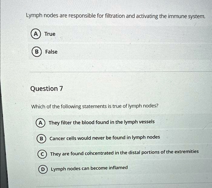 Lymph nodes are responsible for filtration and activating the immune system.

(A) True

(B) False

Question 7

Which of the following statements is true of lymph nodes?

(A) They filter the blood found in the lymph vessels

(B) Cancer cells would never be found in lymph nodes

(C) They are found concentrated in the distal portions of the extremities

(D) Lymph nodes can become inflamed