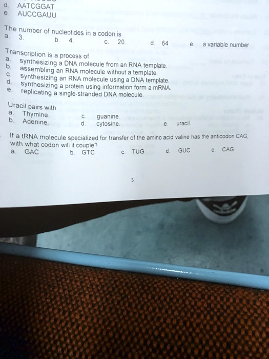 SOLVED: AATCGGAT AUCCGAUU Tne number of nucleolides in codon IS SOLVED: AATCGGAT AUCCGAUU Tne number of nucleolides in codon IS