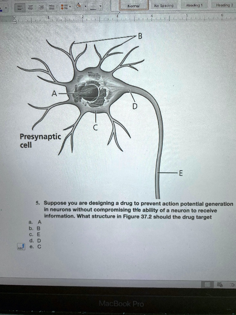 SOLVED: Normal No Spacing Heading Heading A Presynaptic cell Suppose ...