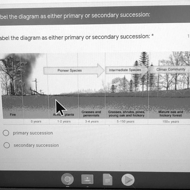 Solved Is This Primary Or Secondary Succession Bel The Diagram As Either Primary Or Secondary 0222