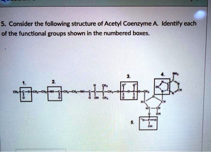 SOLVED: 5. Consider the following structure of Acetyl Coenzyme A ...