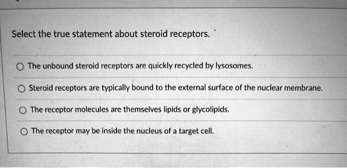 Solved:select The True Statement About Steroid Receptors: The Unbound Steroid  Receptors Are Quickly Recycled By Lysosomes. Steroid Receptors Are  Typically Bound To The External Surface Of The Nuclear Membrane: The  Receptor Molecules Solved:select The True Statement About Steroid Receptors: The Unbound Steroid  Receptors Are Quickly Recycled By Lysosomes. Steroid Receptors Are  Typically Bound To The External Surface Of The Nuclear Membrane: The  Receptor Molecules