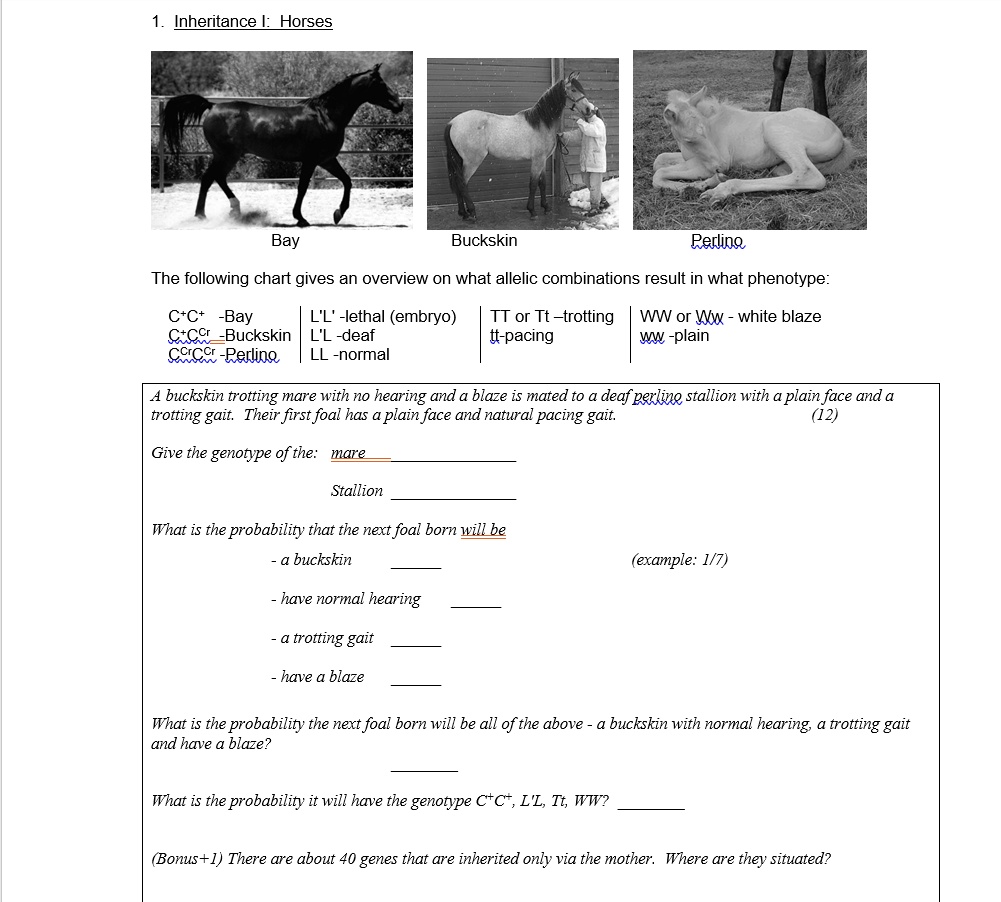 Solved 1. Inheritance I: Horses The following chart gives an