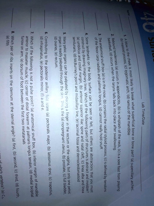 Name Lab Time/Date 1. A blow to the cheek is most likely to break what ...