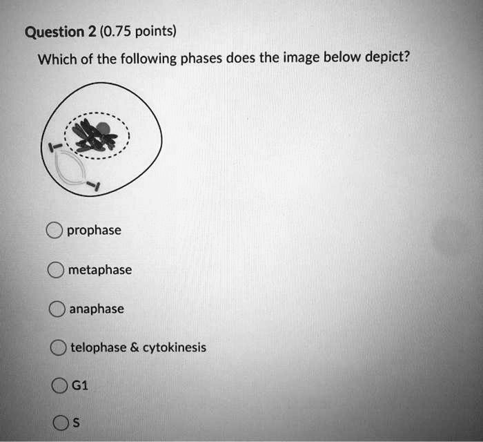 SOLVED Question 2 (0.75 points) Which of the following phases does the