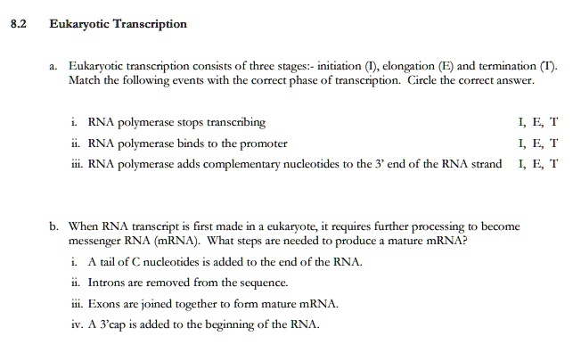 82 eukaryotic transcription eukaryotic transcription consists of three ...