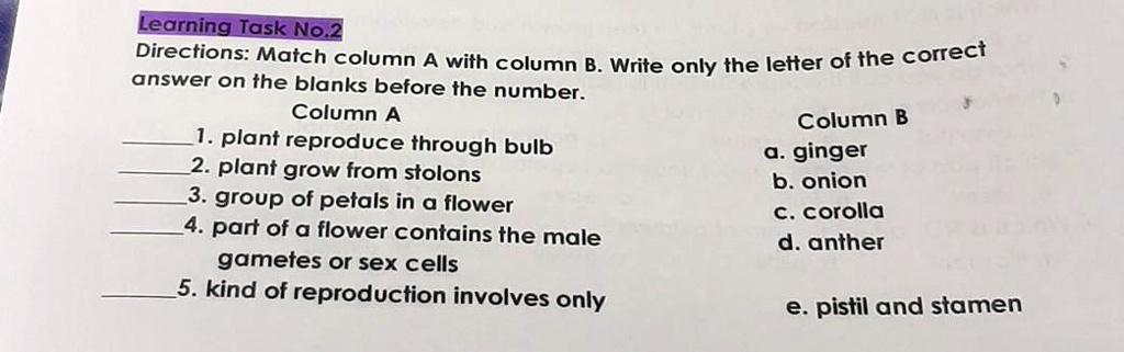 'Directions: Match Column A With Column B. Write Only The Letter Of The ...