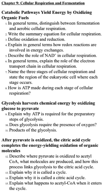 what-is-the-role-of-nad-in-cellular-respiration-a-it-functions-as