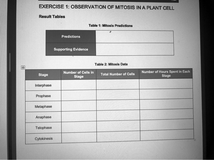 SOLVED:EXERCISE 1: OBSERVATION OF MITOSIS IN A PLANT CELL Regult Tableg ...