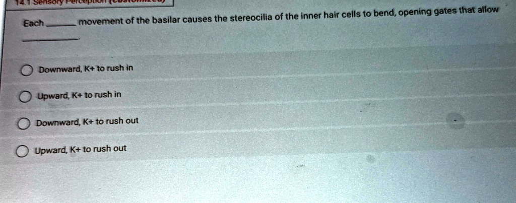 Each  movement of the basilar causes the stereocilia of the inner hair cells to bend, opening gates that allow
Downward, K+ to rush in
Upward, K+ to rush in
Downward, K+ to rush out
Upward, K+ to rush out