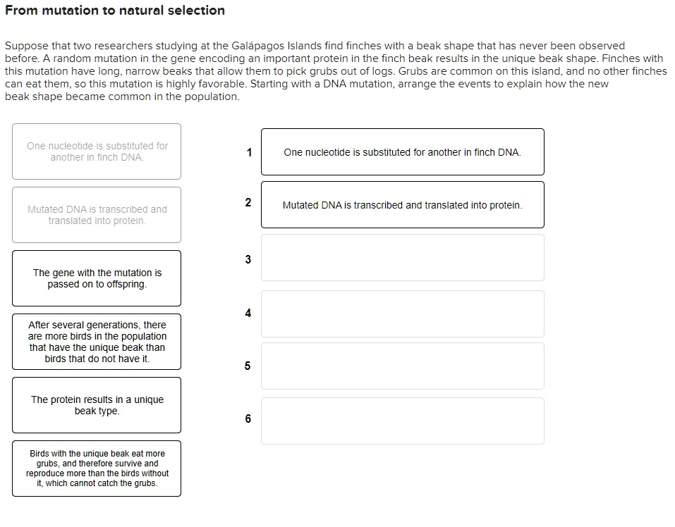 SOLVED From Mutation to Natural Selection Suppose that two researchers studying at the