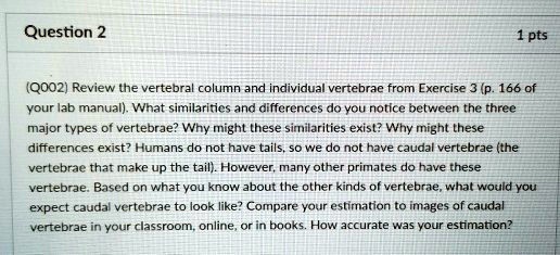 (Q002) Review the vertebral column and individual vertebrae from Exercise 3 (p. 166 of your lab manual). What similarities and differences do you notice between the three major types of vertebrae? Why might these similarities exist? Why might these differences exist? Humans do not have tails, so we do not have caudal vertebrae (the vertebrae that make up the tail). However, many other primates do have these vertebrae. Based on what you know about the other kinds of vertebrae, what would you expect caudal vertebrae to look like? Compare your estimation to images of caudal vertebrae in your classroom, online, or in books. How accurate was your estimation?