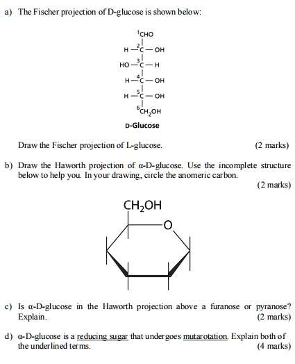 D Glucose Haworth Projection SOLVED: The Fischer projection of D-glucose shown below: CHO D-Glucose