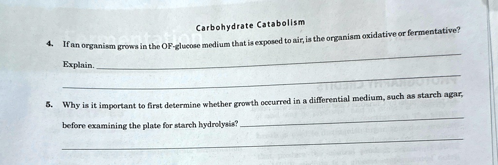 Carbohydrate Catabolism
4. If an organism grows in the OF-glucose medium that is exposed to air, is the organism oxidative or fermentative?
Explain.
5. Why is it important to first determine whether growth occurred in a differential medium, such as starch agar,
before examining the plate for starch hydrolysis?
