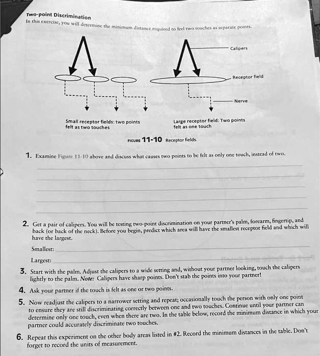 two point discrimination in this exerciseyou will determine the minimum ...