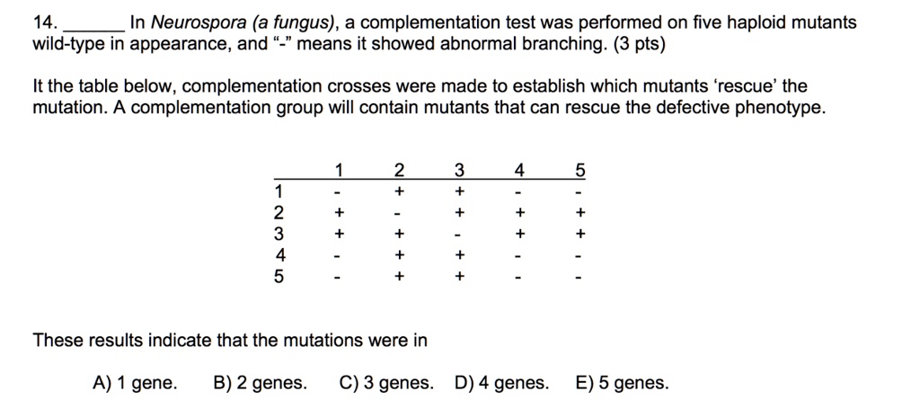 14. In Neurospora (a fungus), a complementation test was performed on five haploid mutants wild-type in appearance, and "-" means it showed abnormal branching. (3 pts)
It the table below, complementation crosses were made to establish which mutants 'rescue' the mutation. A complementation group will contain mutants that can rescue the defective phenotype.
1 2 3 4 5
1 - + + - -
2 + - + + +
3 + + - + +
4 - + + - -
5 - + + - -
These results indicate that the mutations were in
A) 1 gene. B) 2 genes. C) 3 genes. D) 4 genes. E) 5 genes.