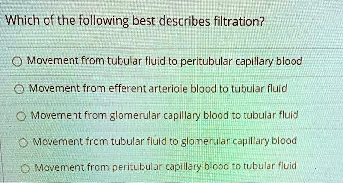 Which of the following best describes filtration?
Movement from tubular fluid to peritubular capillary blood
Movement from efferent arteriole blood to tubular fluid
Movement from glomerular capillary blood to tubular fluid
Movement from tubular fluid to glomerular capillary blood
Movement from peritubular capillary blood to tubular fluid