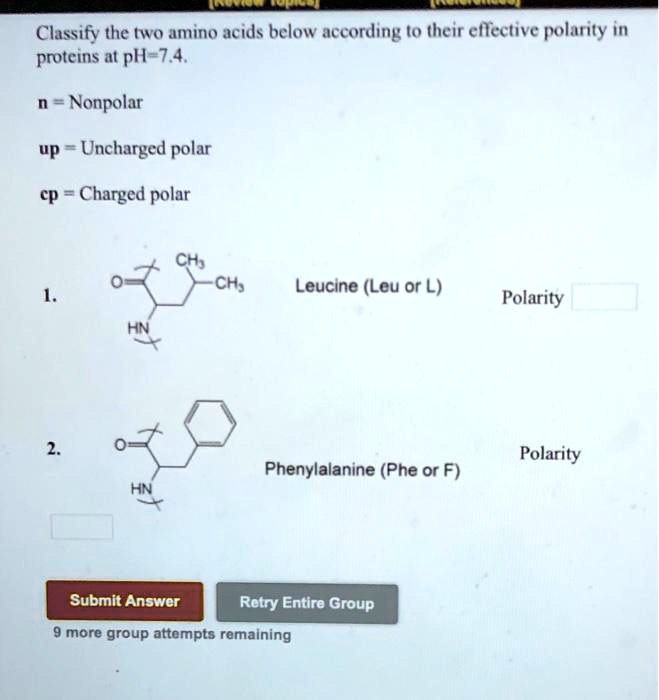 SOLVED Classify the two amino acids below according to their effective
