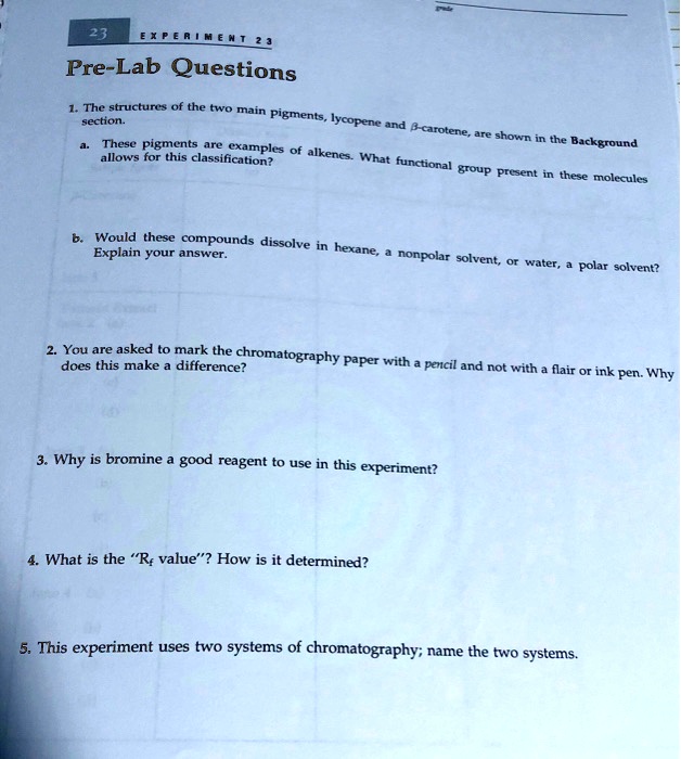 SOLVED XP [ R ! M L PreLab Questions RH[LOILAS the two main Pigments