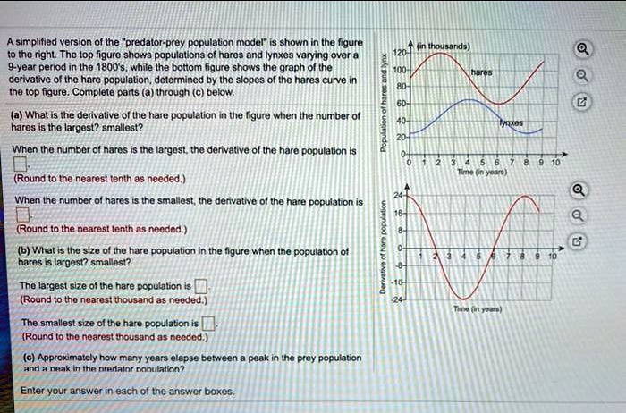 simplified version of the predator prey pcpulation model shown ha figure the right the iop figuro shows populalions of naros and lynxes varying ovor a 9 year period in he 1800s while the bot 17095