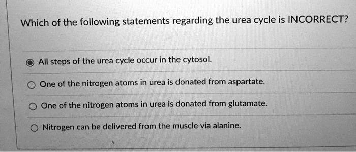 Which of the following statements regarding the urea cycle is INCORRECT?
All steps of the urea cycle occur in the cytosol.
One of the nitrogen atoms in urea is donated from aspartate.
One of the nitrogen atoms in urea is donated from glutamate.
Nitrogen can be delivered from the muscle via alanine.