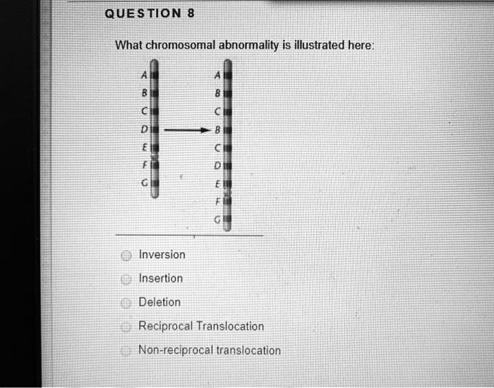 SOLVED:QuesTion 8 What chromosomal abnormality is illustrated here ...