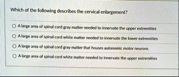 which of the following describes the cervical enlargement a large area of spinal cord gray matter needed to innervate the upper extremities a large area of spinal cord white matter needed to 66613