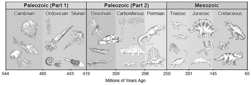 SOLVED: 'tudy the images about geologic time. What is a noticeable ...