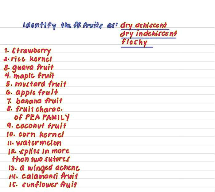 SOLVED Identify 5 fruits dry dehiscent, indehiscent, strawberry, rice kernel, and guava fruit