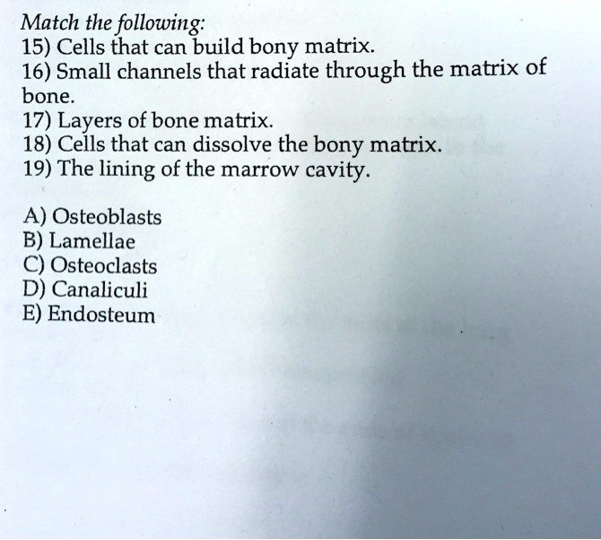 SOLVED Match the following 15Cells that can build bony matrix 16