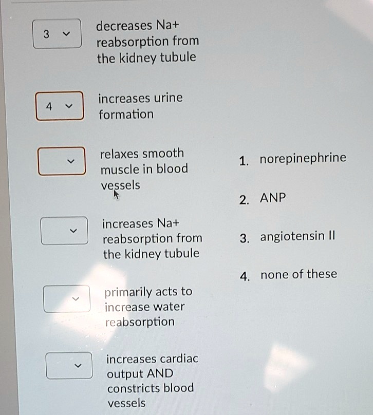 3
decreases Na+
reabsorption from
the kidney tubule
4
increases urine
formation
relaxes smooth
muscle in blood
vessels
increases Na+
reabsorption from
the kidney tubule
primarily acts to
increase water
reabsorption
increases cardiac
output AND
constricts blood
vessels
1. norepinephrine
2. ANP
3. angiotensin II
4. none of these